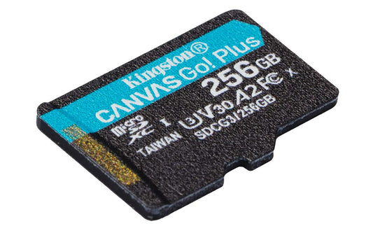 256GB microSDXC Canvas Go Plus 170R A2 U