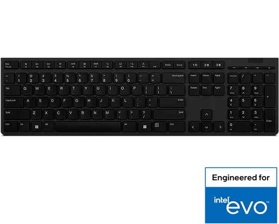 Lenovo Professional Wireless Rechargeabl