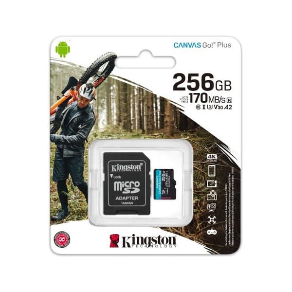 256GB MSDXC CANVAS GO PLUS 170R