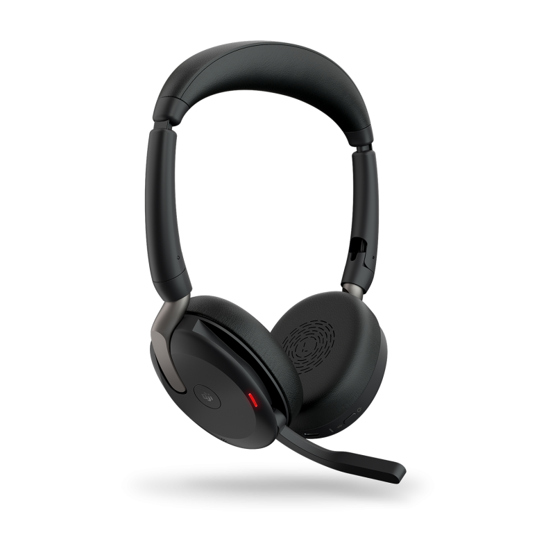 EVOLVE2 65 FLEX USB-C MS STEREO