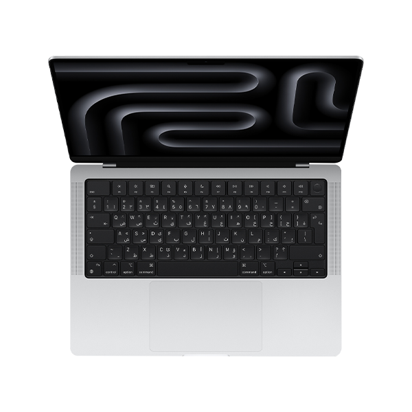 MBP 16 SL/14C/20C GPU/48GB/512G-SPA