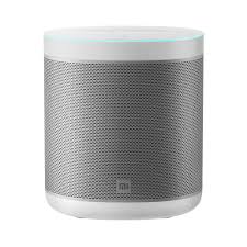 PARLAMTE XIOMI GOOGLE HOME