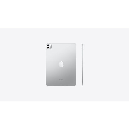IPAD WF CL 256GB SLV-CLA