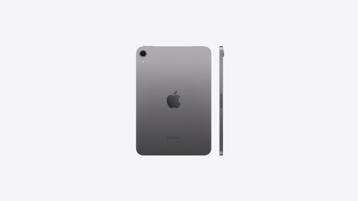 iPad mini Wi-Fi 256GB - Space Grey