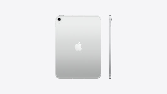 IPAD WI-FI 256GB SILVER-LAE