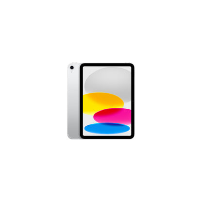 IPAD WF CL 256GB SLV-CLA