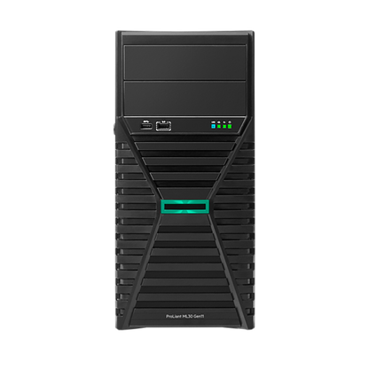 HPE ML30 Gen11 E-2414 1P 16G NHP 1TB Svr