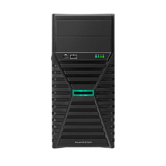 HPE ML30 Gen11 E-2414 1P 16G NHP 1TB Svr