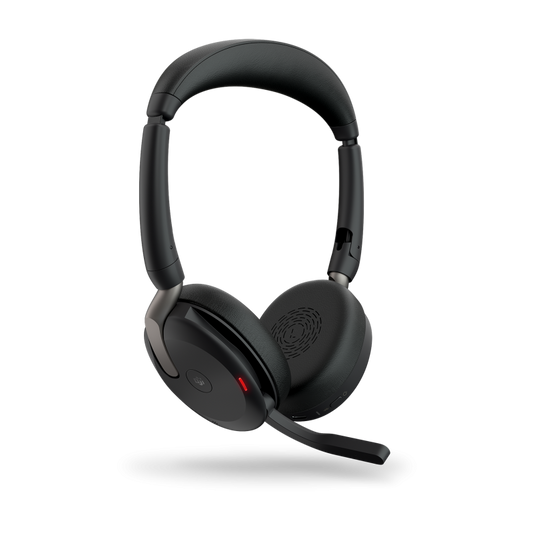 EVOLVE2 65 FLEX USB-C MS STEREO