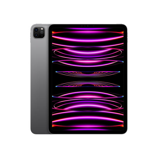 IPAD PRO 11 WF CL 2TB SP BLK NT-CLA