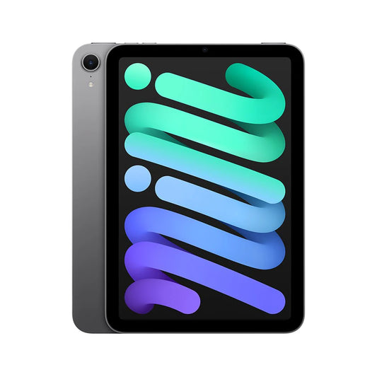 iPad mini Wi-Fi + Cellular 128GB - Space