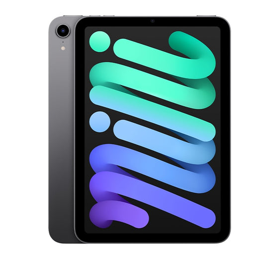 iPad mini Wi-Fi + Cellular 256GB - Space